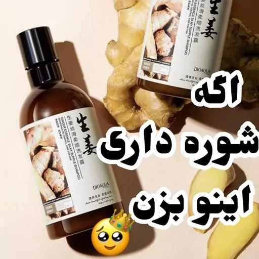 شامپو سر زنجبیل بیوآکوا