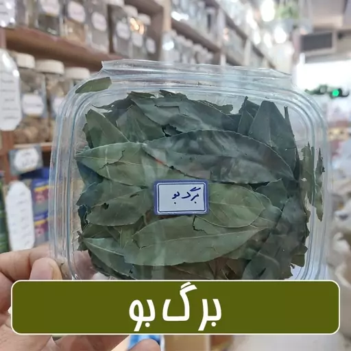 برگ بو درشت و سبز و تازه و سالم