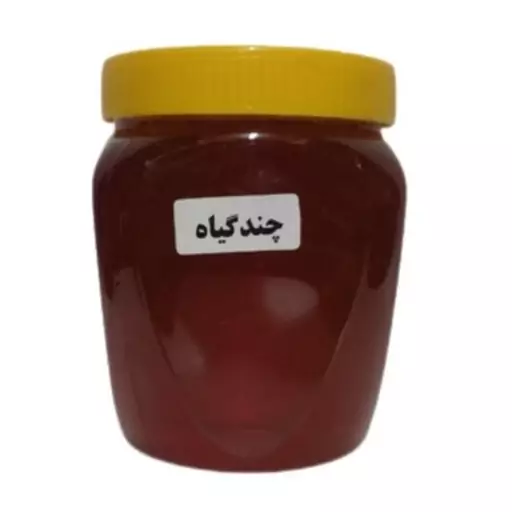 عسل طبیعی چندگیاه (یک کیلویی)