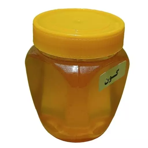 عسل طبیعی گون (1 کیلوگرم)