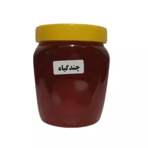 عسل طبیعی چندگیاه (یک کیلویی)