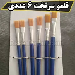 پک قلمو 6 عددی در دو مدل سرتخت و سرگرد 