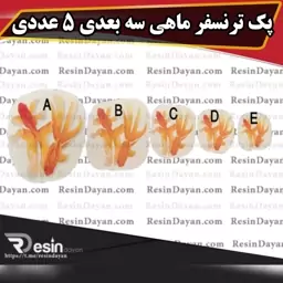 پک ترنسفر ماهی سه بعدی 5 عددی