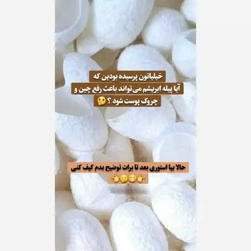 پیله کرم ابریشم