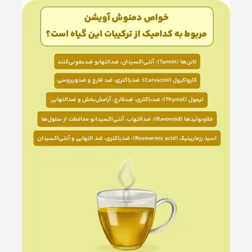 دمنوش آویشن رفع عفونت تی بگ 10 عددی