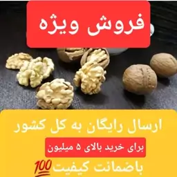 گردو اقتصادی  1403 با کیفیت (فروش ویژه)پاییزه