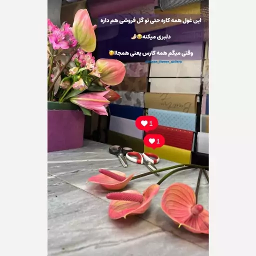 قیچی غول همه کاره آشپزخانه 