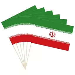 پرچم ایران کاغذی 50عددی