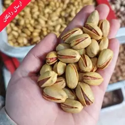 پسته اکبری زعفرانی دامغان در بسته بندی 1.5 کیلویی و ارسال رایگان