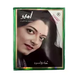 حنا امیر