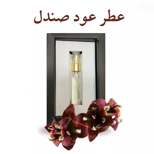 عطر عود صندل  - عطر صندل اکسیر دکتر خیراندیش 5 گرم محیا