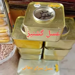 عسل گشنیز ویژه دیابتی عسل سرای دهاتی