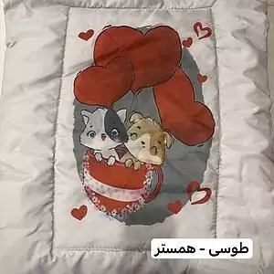 پشه بند نوزاد تشک دار آسیم مدل D کد 43108