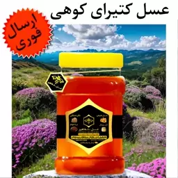 عسل طبیعی کتیرای کوهی شفاهیر (یک کیلوگرم)(مستقیم از زنبوردار)