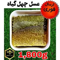 عسل چهل گیاه باموم شفاهیر(1800 گرم)(ارسال فوری)(خرید مستقیم از زنبوردار)(ارسال فوری)