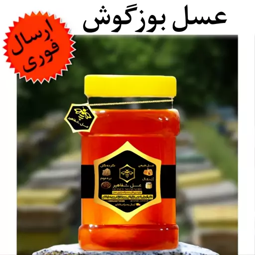 عسل بوزگوش شفاهیر (یک کیلوگرم)(مستقیم از زنبوردار)