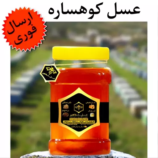 عسل کوهساره شفاهیر (یک کیلوگرم)(مستقیم از زنبوردار)