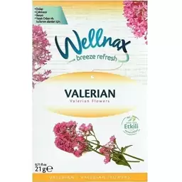 خوشبو کننده پودری ولناکس Wellnax با رایحه VALERIAN  گل سنبل الطیب حجم 21 گرم - ترکیه