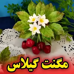 مگنت گیلاس مناسب درب یخچال 