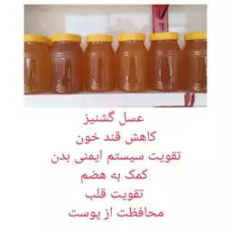 عسل  طبیعی  گشنیز 