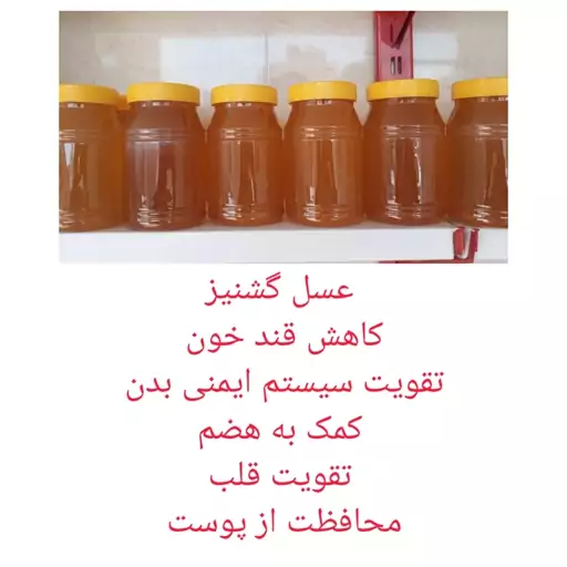 عسل  طبیعی  گشنیز 