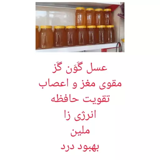 عسل طبیعی گَوَن گَز 