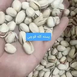 پسته کله قوچی خام و پخته 