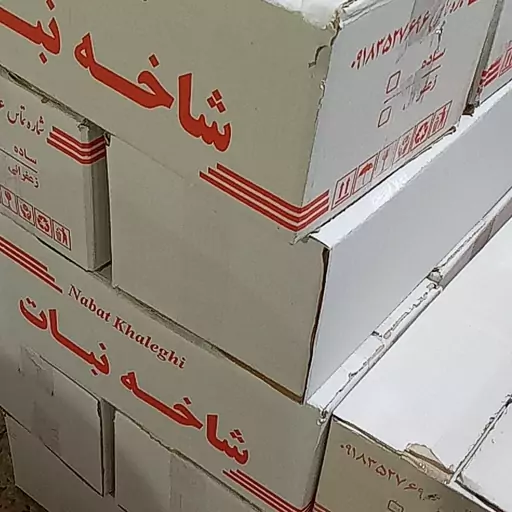 نبات شاخه زعفرانی کارتن 10 کیلوگرمی