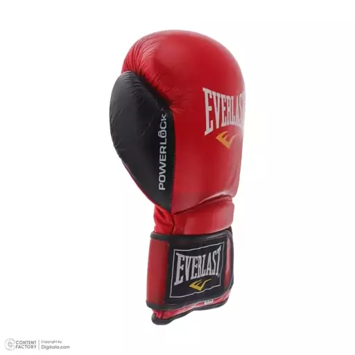 دستکش بوکس Everlast lion