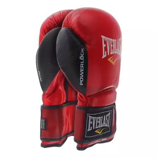 دستکش بوکس Everlast lion