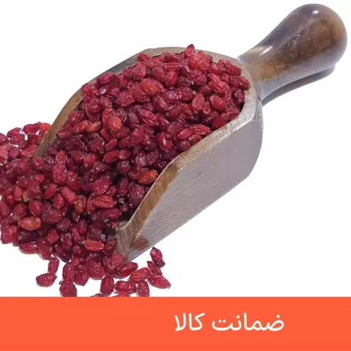 زرشک پفکی درجه یک 500 گرمی