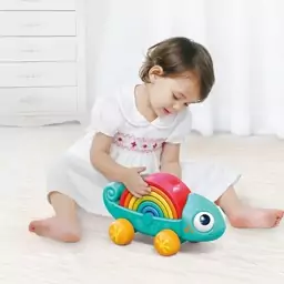 پازل آفتاب پرست رنگین کمانی هولی تویز مدل Hola Toys HE795700