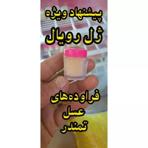 ژل رویال خرید از زنبور دار