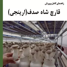 راهنمای پرورش قارچ شاه صدف