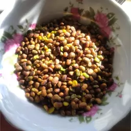 مغز بنه(مغز پسته وحشی)