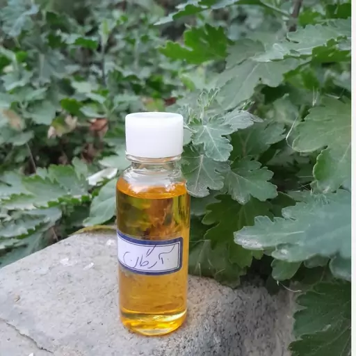 روغن آرگان 30cc خالص و باکیفیت( کاهش موخوره)