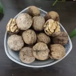 گردو روغنی ممتاز و خوشمزه سهرورد (یک کیلویی)