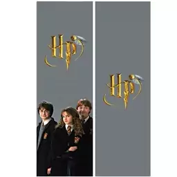 نشانگر کتاب (Bookmark) مدل هری پاتر Harry Potter کد 1