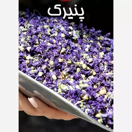 پنیرک 100 گرمی