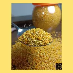 گرده گل با تنوع رنگ بالا کوهستان