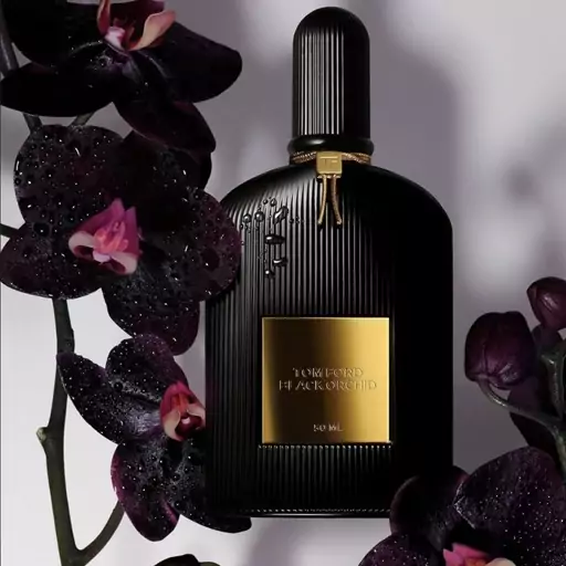 عطر بلک ارکید لوزی اورجینال با بالاترین کیفیت و ماندگاری