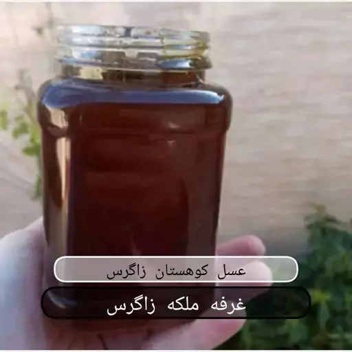 عسل طبیعی کوهستان زاگرس خرید از زنبوردار