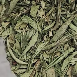 100 گرم استویا Stevia شیرین برگ 