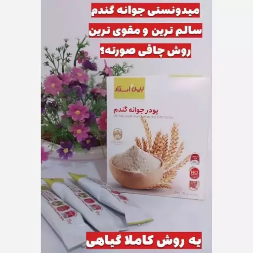 پودر جوانه گندم  