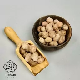 جوز هندی 100 گرمی با طبع گرم درجه 1