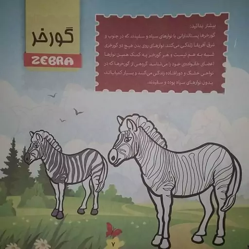 کتاب رنگ آمیزی آشنایی با حیوانات وحشی همراه با آموزش انگلیسی - کد kheradland1403p برای خرید بالا 500 تومان 