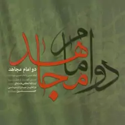 دو امام مجاهد - امام حسن و امام حسین علیهما السلام (شش گفتار از رهبری در تحلیل مبارزات سیاسی حسنین)