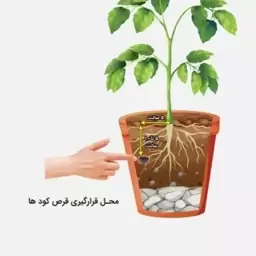 قرص کود تقویت گیاهان