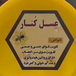 عسل کنار پرورشی خالص