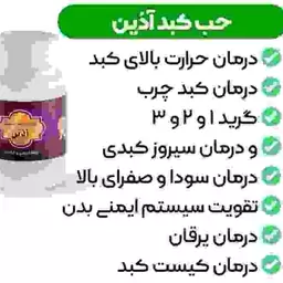 پکیج گیاهی کبد آذین(شامل حب گیاهی و 2 بسته شربت مصفای خون)